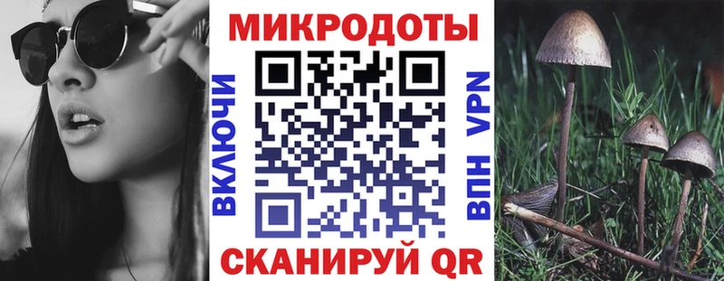 Галлюциногенные грибы мухоморы Белорецк