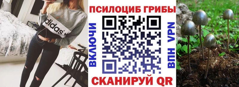 Купить  Белорецк  Псилоцибиновые грибы Psilocybine cubensis 
