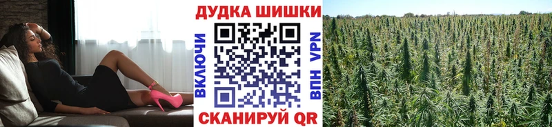 Купить  Белорецк  Канабис Amnesia 